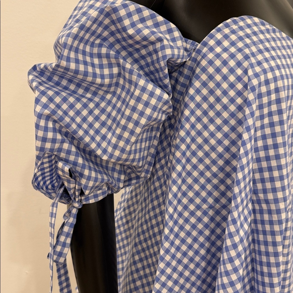 Caroline Constas Gingham Corset Off-Shoulder Top S Bergdorf Goodman Never Worn - Picture 9 of 12